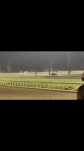 The Grizzly is back at Fair Grounds Race Course and Slots and getting down to business under the watchful eye of Kenny McPeek as she works towards The Azeri at Oaklawn on March 8th… | Thorpedo Anna