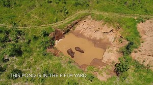 16K views · 193 shares | Most swimming photos and videos are of the...