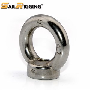 [Hot Item] 316 Stainless Steel Fasteners DIN582 Lifting Eye Nuts
