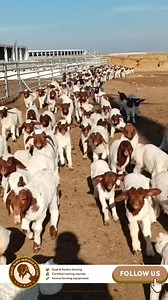 😍😍😍 | Excel Agro services