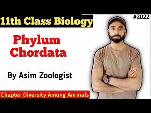 Phylum Chordata | characteristics | Examples | Diagram | Diversity among animals | class 11