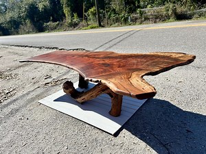 Natural Pecan Crotch Coffee Table With Florida Yellow Pine Tree Top Bottom - Etsy Canada