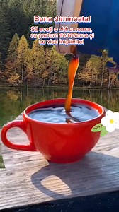 Buna dimineata, prieteni! | Natura,dragostea mea