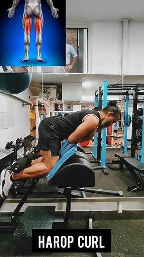 🔥BUTTASSTIC EXERCISES🔥 Wanna develop “Hardy Hamstrings”? Try these variations in a circuit. A1. Harop Curl 2 A2. Razor curl 2 A3. Glut Ham Raise 2 A3. Back Extension 12 reps Disclaimer - These are all highly advanced exercises. You must have prior experience in doing these exercises to avoid Injuries. #athletics #explosiveness #speed #endurance #usainbolt #sprinting #splitsnatch #nfl #combine #gymrat #primalpatterns #primalstock | Primal Patterns