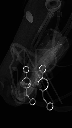 AJRSPORT | CUSTOM BITS | 👀 Ever wonder why your horse feels heavier in your hands than he should? It might come down to the bit. 👉 The purchase controls speed of... | Instagram