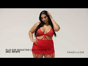 PLUS SIZE SEDUCTIVE CAGE CHEMISE SET | YANDY.COM