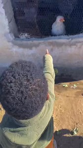 Zim vlog/cleaning 🧹🫧🧼village lifestyle #fyp #villagelifestylevlog #cleanup #village #videoviralシ #morningroutine | MaiDee Natty