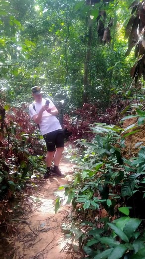 Trekking through rainforest at phnom Kulen national park #rainforest #jungle #trekking #From #siemreap | About Cambodia Travel & Tours