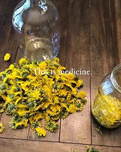 Nature is medicine 🍃 🎥 @motherhenshomestead | Off-grid Collective