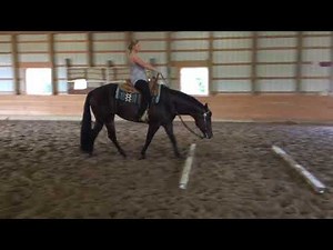 SOLD - Hilfiger Im Krymsun AQHA/APHA Western Pleasure Mare For Sale