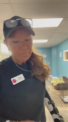 37 reactions | Piper working hard today❤️ #housebreaking #dogs #pottytraining #onlineclasses #lakecumberlandk9 #potty #dogtraining101 #puppies #onlinedogtrainingclass #cute #obedience101 | Lake Cumberland K-9 Training Center, LLC | Facebook