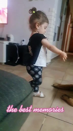 my b&my❤️ #mydog #cute #dogs #home #germanshepherd #brothers #doglover #foryou #love #dog #brouder #babylove #mylife #beautiful #toddler #friends #germanshpherdsoftiktok #viral #viraltiktok #foru #4u #4you #foryou