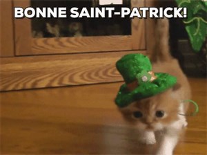 11 reactions | CONNAISSEZ-VOUS L'ORIGINE DE CETTE FÊTE? Un élève aidant a répondu à la question posée sur le forum Alloprof en histoire. Apprenez-en plus ici: bit.ly/forumstpat | Alloprof | Facebook