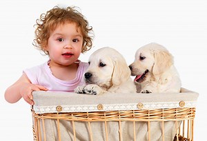 Copilul de 2 ani - Dezvoltare si sfaturi utile - Clubul Bebelusilor