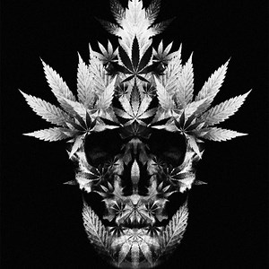 ashtraypot Schedule - Twitch