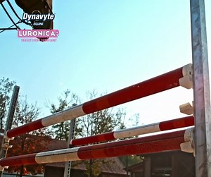 Discover Luronica: Your horse's ultimate joint support from Dynavyte Equine. Specially crafted to promote joint health and mobility, Luronica is a trusted blend of natural ingredients. Whether for aging horses or those in active training, Luronica supports their journey towards comfort and flexibility. 💙 | Dynavyte