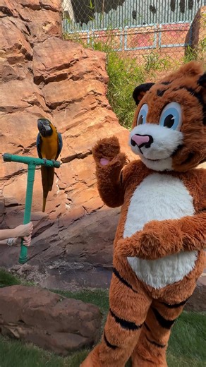 Happy World Parrot Day! 🦜⁣ ⁣ Book a Parrot Meet and Greet to learn more about these striking and intelligent birds. https://bit.ly/4jcO0a7 | Downtown Aquarium - Houston