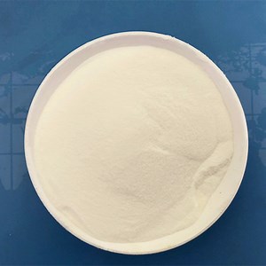 [Hot Item] Chitin Powder Natural Chitosan for Agriculture Use