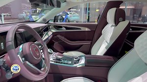 2023 FAW Hongqi H9 3.0T 7DCT Walkaround | Bombastic Lover's