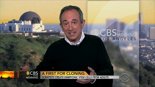 Cloning advancement: Scientists create embryonic stem cells from adult skin