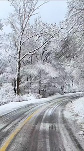 Snow vibe❤❤ #snowfall #alberta #quebe #ontario | Raja Touqeer Ahmed