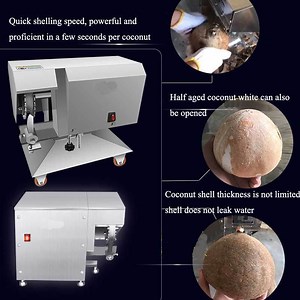 [Hot Item] Stainless Steel Newly Designed Old or Fresh Coconut Shelling Machine