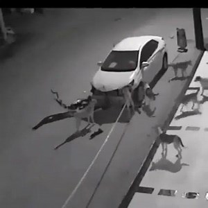 21K views · 296 reactions | Send this video to insurance company . | Secure Your Hacks | Facebook