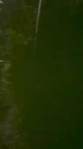 121K views · 2.2K reactions | Creature attack ! #goverment #giftingrock #sasqautch #lazer #bigfoot #cryptid #dogman #scary #creature #foryou #bizzare #bizzare #haunted #scary #BVIRAL | Caught Outdoors | Facebook