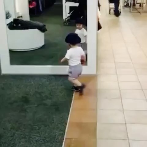 Solo los seres humanos, entre otros primates “superiores”, alcanzan...