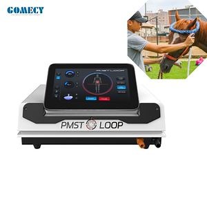 [Hot Item] Pmst Loop Pemf Pulsed Electromagnetic Therapy Pemf Therapy Machine for Horses Veterinary Equipment for Pain Management