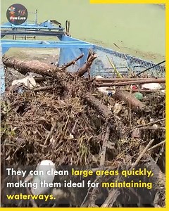 9.6K views · 86 reactions | Innovative River Cleaning with Aquatic Trash Skimmers | NJ | Facebook