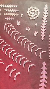 34K views · 3.9K reactions | #bodymod #perlasgenitales #modificacioncorporal #pearling #implantesgenitales | Leslie Anahí Fernandez de Castro | Facebook