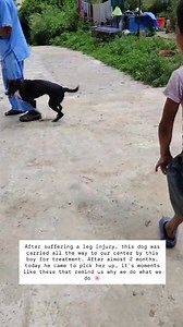 Animal Nepal on Reels