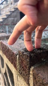 Fingerman Beatbox Parkour – Fingiss Jumpiss ASMR Sound
