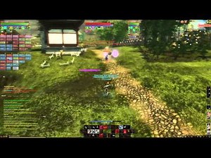 ArcheAge - Archer 50 lvl pvp, DollVasta (19.04.14)