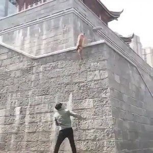 "Bad ass dog👏 😍💙 #k9 #k9unit #policek9 #k9cop #k9gsds #k9security #k9protection #k9unit " | K9 UNIT PROUD