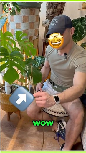 Monstera RAPID Aerial Root Growth!