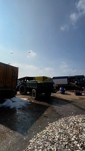 12K views · 97 reactions | 朗wow‼️massive #Cooking #deep #sea #fishing #seafood #sealife #fish #fisherman #truck #fishtruck | Indian Ocean Seafoods Robert | Facebook