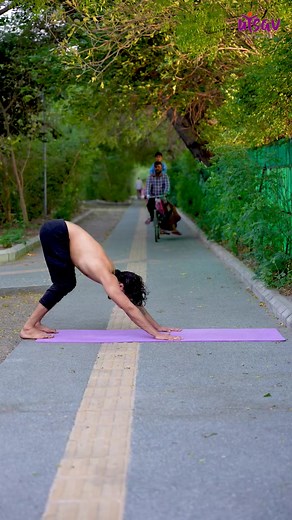Eka Pada Koundinyasana is an advanced pose that combines balancing and twisting of the body at the same time. In this pose, the body is lifted on the side upper arm and then the legs are split apart in the final position of the pose. The skill required to practice this pose can be achieved by the practice Bakasana (Crow Pose) and Parsva Bakasana (Side Crow Pose). with UtsavYoga Utkarsh Sharma Yoga #utsavyoga #upwardfacingdog #flyingsplits #ekapadakoundinyasana #yogainnature #howtoyoga #yogatutor