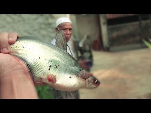 Grandpa fishing gets catfish