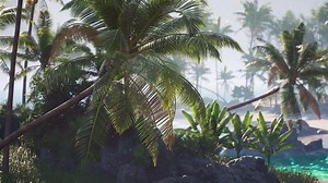 Lush tropical landscape with palm trees and a serene beach at dawn
