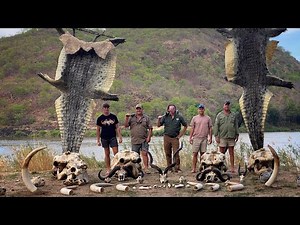 Mbalabala Safaris Elephant Hunt Promo