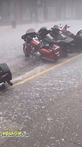 21K views · 428 reactions | Sturgis Bike Week  | Bastard Kustom | Facebook