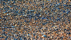 You have eyes of a hawk if you can spot bird hidden on the beach