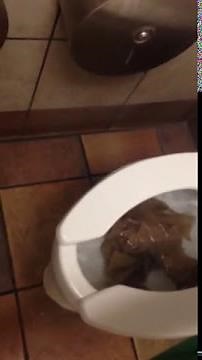 Clogged kohler highcrest welcome toilet