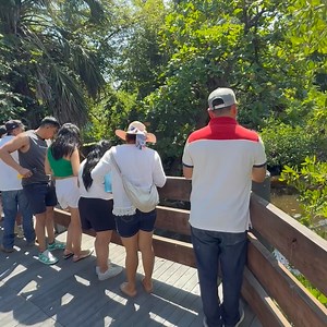 Desde Playa Linda Ixtapa | Uriel LZC