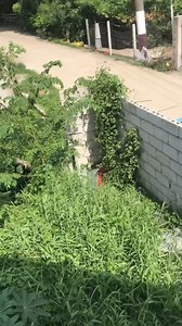 Samahan nyo ako sa aking vlog dito na cguro tayo maglalagay ng mga Volvoluk na oto. 😆😂 tara samahan nyo ako guys let’s go! #friendlyᥫᩣシ #fympシ゚viral #fypシ゚ #highlight | Cecilio Palabasan Deala