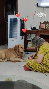 The bond between a mother and her dog is unbreakable #dogs #pets #love | Poke My Heart