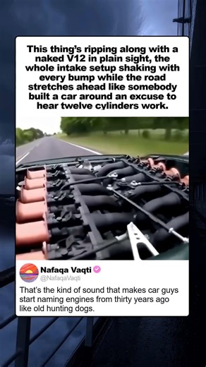 NAKED V12 RUN