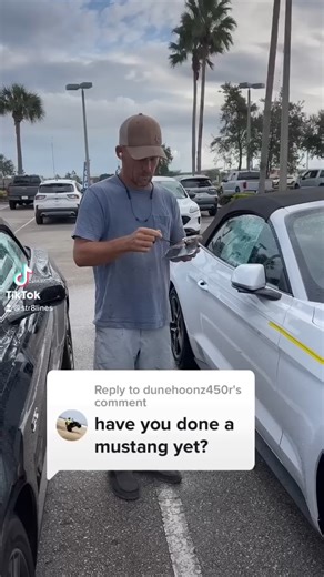 1.8K views · 11 reactions | Hand painted pinstripes on a mustang … | Bombo Marley | Facebook